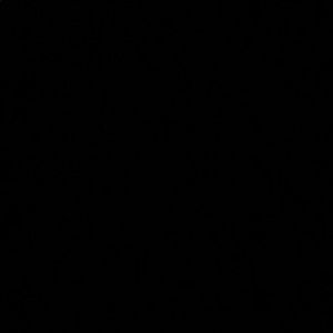 Meet your Posher, Odalys